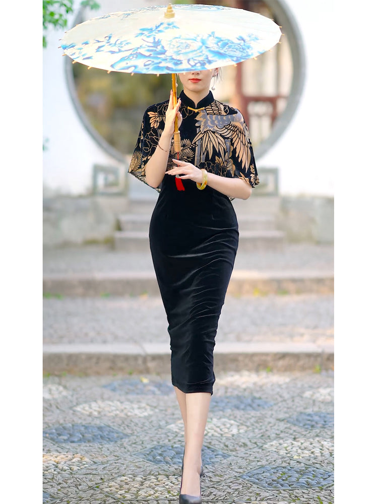 Traditional Chinese dress. Black velvet Cheongsam and shawl. Elegant evening dresses.