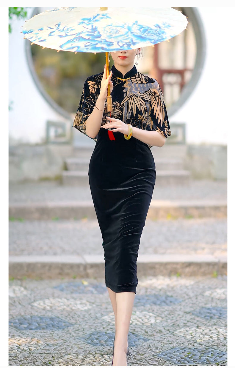 Traditional Chinese dress. Black velvet Cheongsam and shawl. Elegant evening dresses.